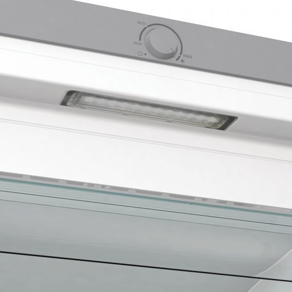 Морозильна камера Gorenje, 185.5x59.5х66.3, 280л, 1дв., A++, NF, Інвертор, сріблястий (FN619EES5) 375913 фото