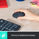 IT/наб LOGITECH MK295 Silent Wireless Combo, US, Graphite (920-009800) 306841 фото 4