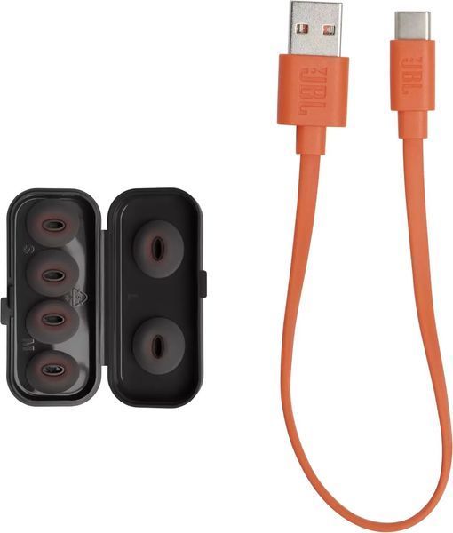 Навушники JBL Tune Flex (JBLTFLEXBLK) Black 275741 фото