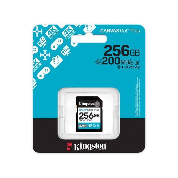 Карта пам'яті Kingston SD 256GB C10 UHS-I U3 V30 R200/W160MB/s (SDG4/256GB) 371531 фото