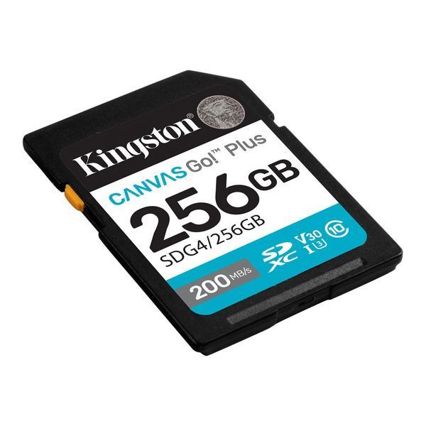 Карта пам'яті Kingston SD 256GB C10 UHS-I U3 V30 R200/W160MB/s (SDG4/256GB) 371531 фото