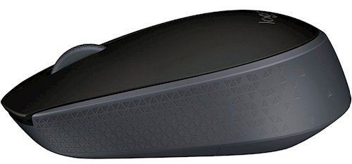 Миша LOGITECH Wireless Mouse M171 чорний 306125 фото