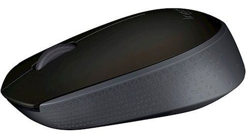 Миша LOGITECH Wireless Mouse M171 чорний 306125 фото
