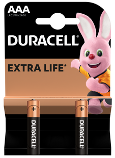 Батарейка DURACELL LR03 MN2400 1x2 шт. 306254 фото