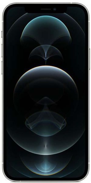 Смартфон Apple IPhone 12 Pro Max 256GB Silver 166627 фото