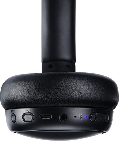 Навушники PANASONIC RB-M600BG-K 359483 фото