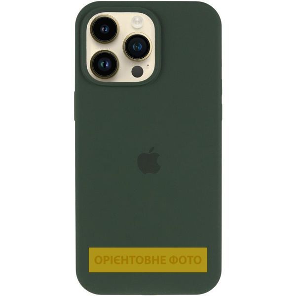 Чохол Silicone Case (AA) Logo with MagSafe для Apple iPhone 17 (6.3") Зелений / Cyprus Green 392997 фото