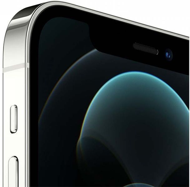 Смартфон Apple IPhone 12 Pro Max 256GB Silver 166627 фото