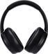 Навушники PANASONIC RB-M600BG-K 359483 фото 2