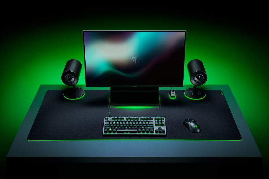 Ігрова поверхня Razer Gigantus V2, 3XL (1200x550x4мм), чорний (RZ02-03330500-R3M1) 375502 фото