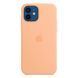 Чохол-накладка Apple iPhone 12/12 Pro Apple Silicone Case MagSafe Cantaloupe 195806 фото 1