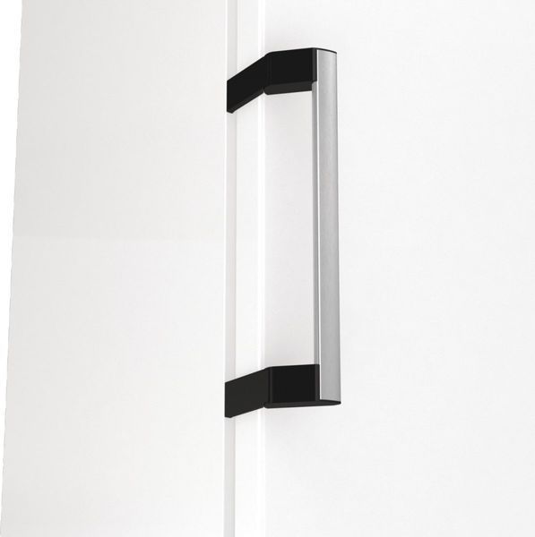 Морозильна камера Gorenje, 185.5x59.5х66.3, 280л, 1дв., A++, NF, диспл зовн., інвертор, білий (FN619EAW6) 376063 фото