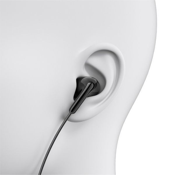 Навушники Xiaomi Type-C Earphones (BHR8930GL) Black 319673 фото