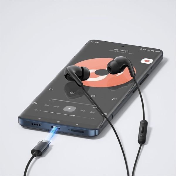 Навушники Xiaomi Type-C Earphones (BHR8930GL) Black 319673 фото