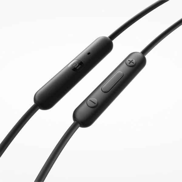 Навушники Xiaomi Type-C Earphones (BHR8930GL) Black 319673 фото