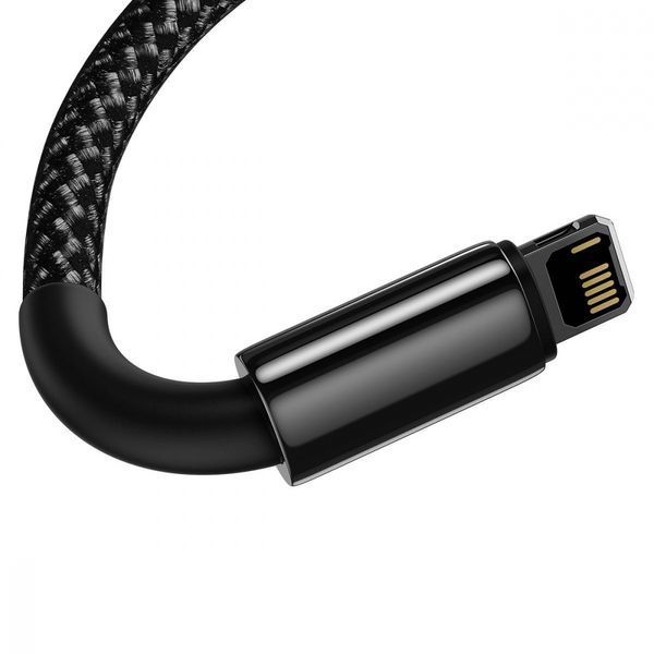 Кабель Baseus Tungsten Gold USB For Lightning 1m (CALWJ-01) Black\Gold 222186 фото