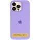 Чохол Silicone Case (AA) Logo with MagSafe для Apple iPhone 17 Pro (6.3") Бузковий / Dasheen 393017 фото 2
