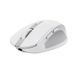 Миша Trust OZZA compact, BT/WL/USB-A, білий (24933_TRUST) 363738 фото 3