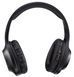 Навушники PANASONIC RB-HX220BEE-K 306467 фото 8