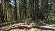 Цифр. фотокамера Canon EOS R6 Mark II + RF 24-105 f/4.0 L IS 365816 фото 14