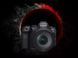 Цифр. фотокамера Canon EOS R6 Mark II + RF 24-105 f/4.0 L IS 365816 фото 2