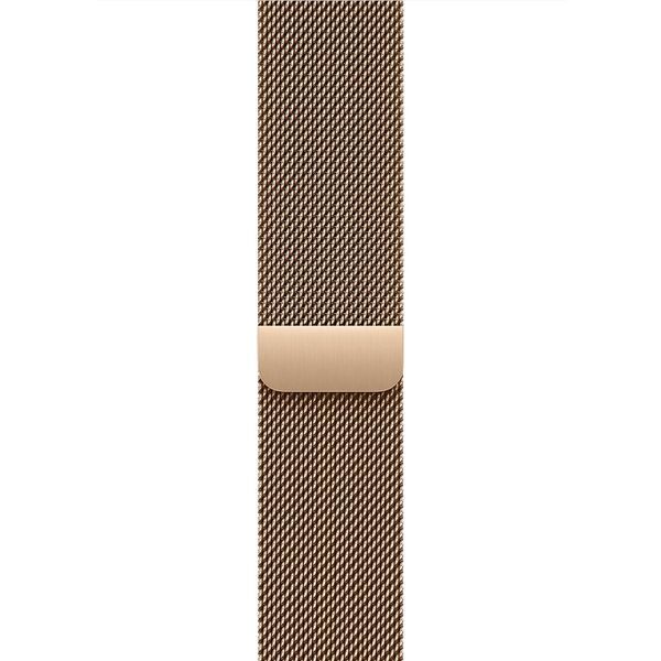Смарт-годинник Apple Watch Series 10 GPS + LTE 46mm Gold Titanium Case With Gold Milanese Loop M/L MX003 322195 фото
