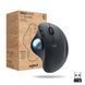 Маніпулятор миша бездротова LOGITECH ERGO M575 for Business - GRAPHITE - BT - EMEA-914 (910-006221) 349605 фото 6