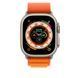 Ремінець Apple Watch Alpine Loop Band Large Для Watch 49mm - Orange (MQE13) 269341 фото 3