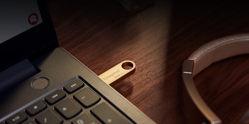 Накопичувач Kingston 256GB USB 3.2 Type-A Gen1 DT SE9 G3 (DTSE9G3/256GB) 375458 фото