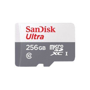Карта пам&rsquo;яті MICRO SDXC 256GB UHS-I SDSQUNR-256G-GN3MN SANDISK 359158 фото
