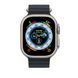 Ремінець Apple Watch 49mm Ocean Band - Midnight (MQEE3) 256705 фото 3