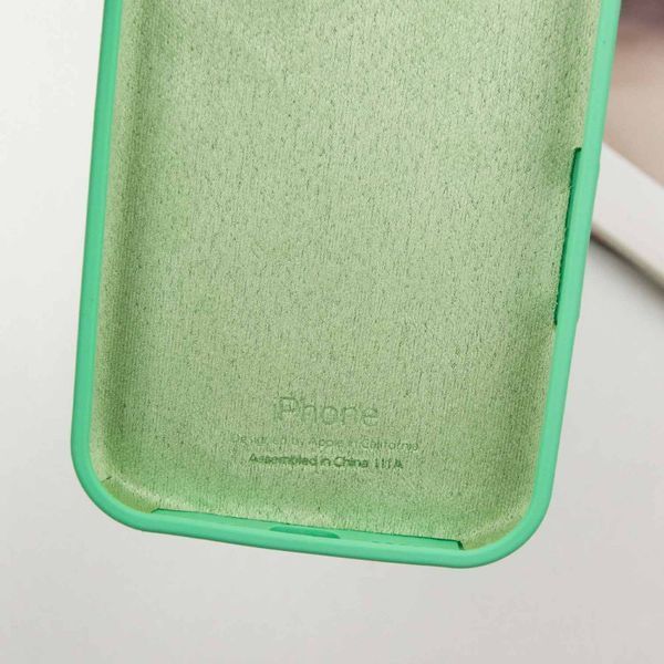 Чохол Silicone Case Full Protective (AA) для Apple iPhone 16 (6.1") Зелений / Spearmint 319347 фото