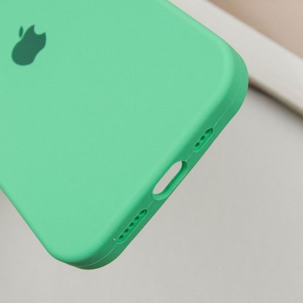 Чохол Silicone Case Full Protective (AA) для Apple iPhone 16 (6.1") Зелений / Spearmint 319347 фото