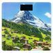 Ваги підлогові Ardesto SCB-965MATTERHORN макс. вага 150 кг/малюнок 396857 фото 1