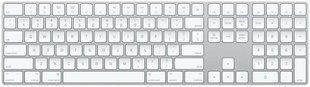 Apple Magic Keyboard MQ052 Silver 125557 фото