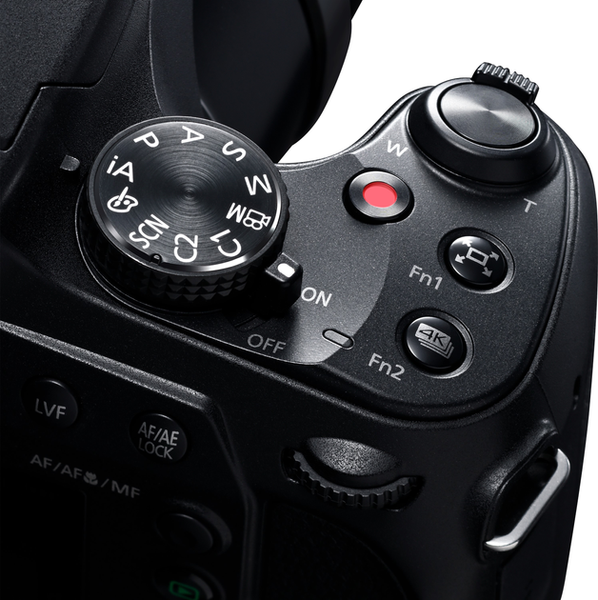 Цифрова камера PANASONIC DC-FZ82DE-K 4К Чорний 317815 фото