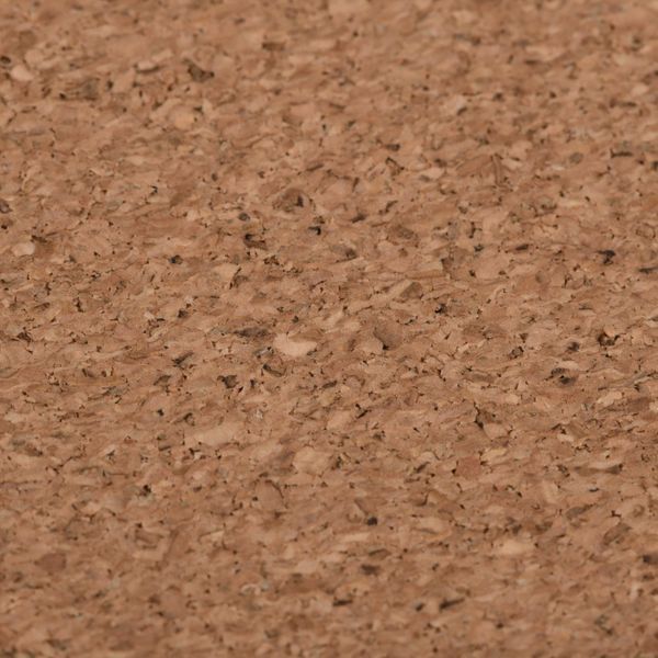 Килимок для миші 2E CORK, M(450x400x2мм), коричневий (2E-PAD-M-CORK) 364344 фото