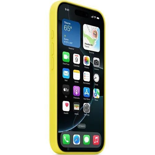 Чохол-накладка Apple iPhone 16 Pro Apple Silicone Case MagSafe Star Fruit 323503 фото