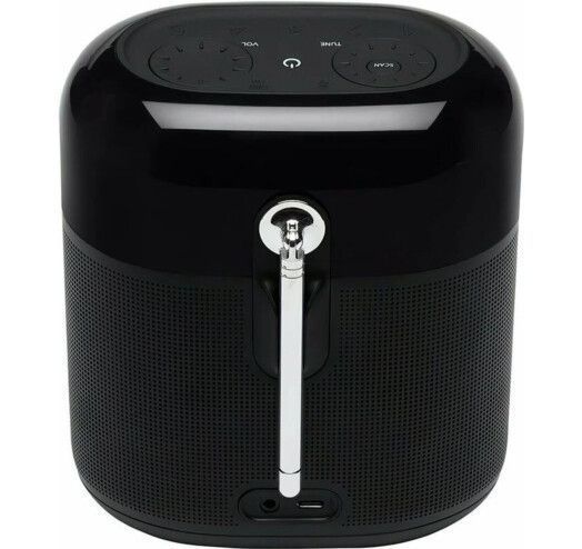 Портативна акустика JBL Tuner XL (JBLTUNERXLBLKEU) Black 269706 фото