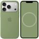 Чохол-накладка iPhone 17 Pro Apple Silicone Case with Button Animation & MagSafe Light Moss 404509 фото 1