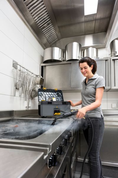 Пароочисник Karcher SG 4/2 Classic, 2250 Вт, 4 бар, 145 &deg;C, 7 кг (1.092-301.0) 362280 фото
