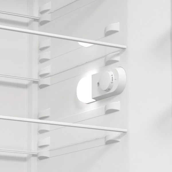 Холодильна камера Gorenje, 186x60х66, 398л, А++, електронне упр, зона св-ті, сірий (R619EES5) 375500 фото