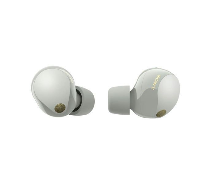 Навушники TWS Sony WF-1000XM5 (WF1000XM5S.CE7) Silver 274746 фото