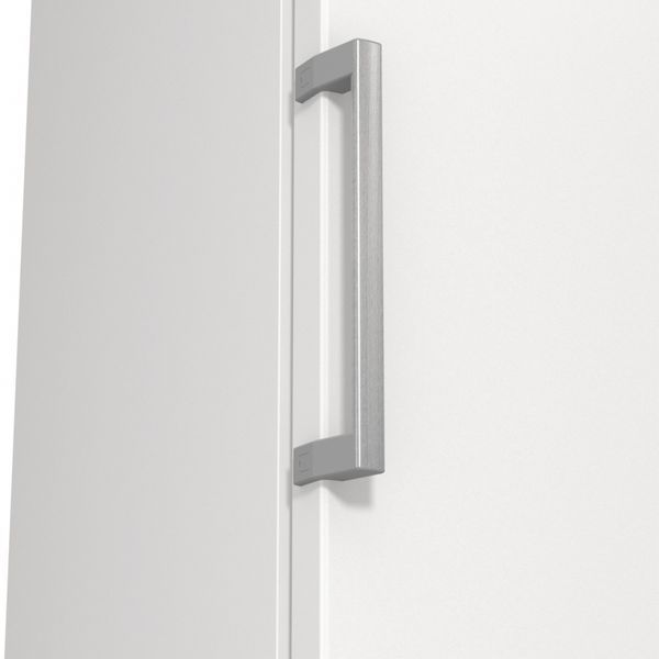 Морозильна камера Gorenje, 185.5x59.5х66.3, 280л, 1дв., A++, NF, диспл внутр., інвертор, білий (FN619EEW5) 375136 фото