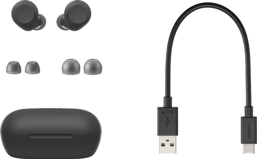 Навушники TWS Sony WF-C710N BT 5.3, ANC, IPX4, SBC, AAC, Mic, Чорний 379883 фото