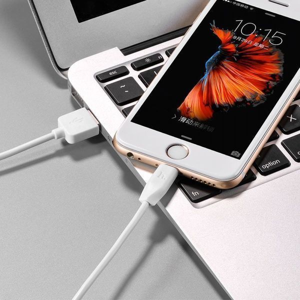 Кабель HOCO X1 Lightning (3m) (white) 329155 фото