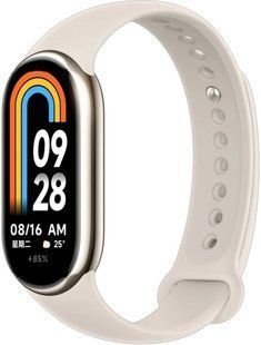 Фітнес браслет Xiaomi Mi Smart Band 9 (BHR8642GL) Titan Gray 322345 фото