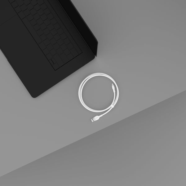 Кабель USB-A > Lightning заряджання/синхронізації Belkin 1м, силіконовий з кліпсою, білий (CAA008BT1MWH) 368190 фото