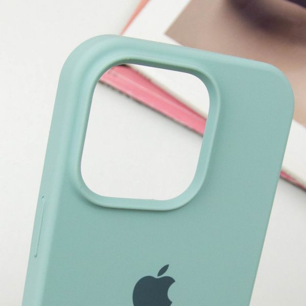 Чохол Silicone Case Full Protective (AA) для Apple iPhone 13 Pro (6.1") Бірюзовий / Beryl 215791 фото