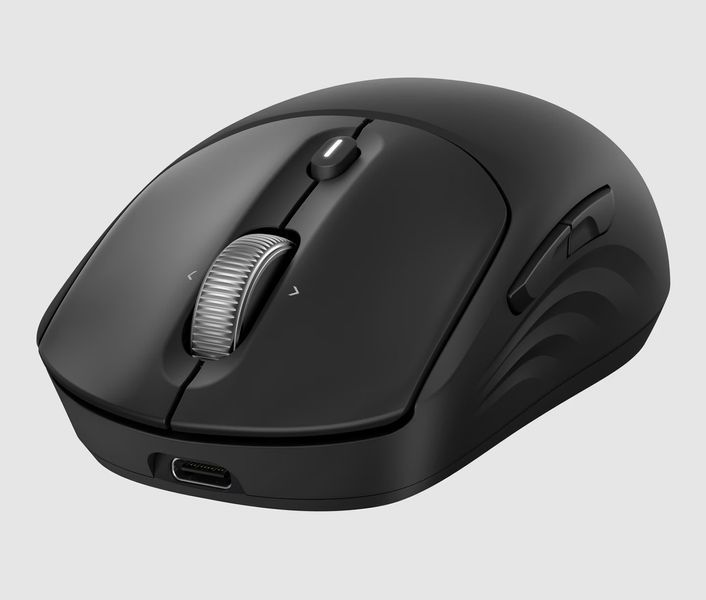Миша HP 700 Rechargeable, WL/BT, чорний 387617 фото